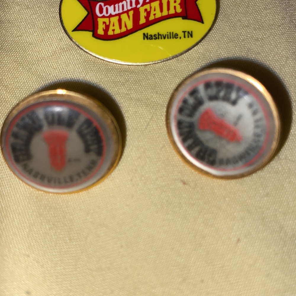 Vintage Collector Pins-NASCAR,Nashville,Olympics,Carnival Cruise,Others- - Picture 12 of 14
